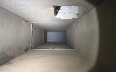 WhatsApp Image 2026-02-06 at 07.48.02 (3) WhatsApp Image 2026-02-06 at 07.48.02 (3)