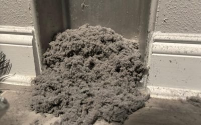 WhatsApp Image 2026-02-06 at 07.48.02 (5) WhatsApp Image 2026-02-06 at 07.48.02 (5)