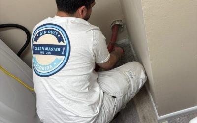 WhatsApp Image 2026-02-06 at 07.48.02 WhatsApp Image 2026-02-06 at 07.48.02